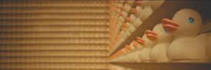 luvrksnx's profile banner image