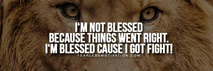 Allan Cellars banner