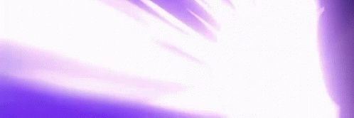 PupTimid's profile banner image
