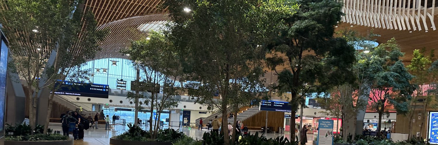 黛玉 banner
