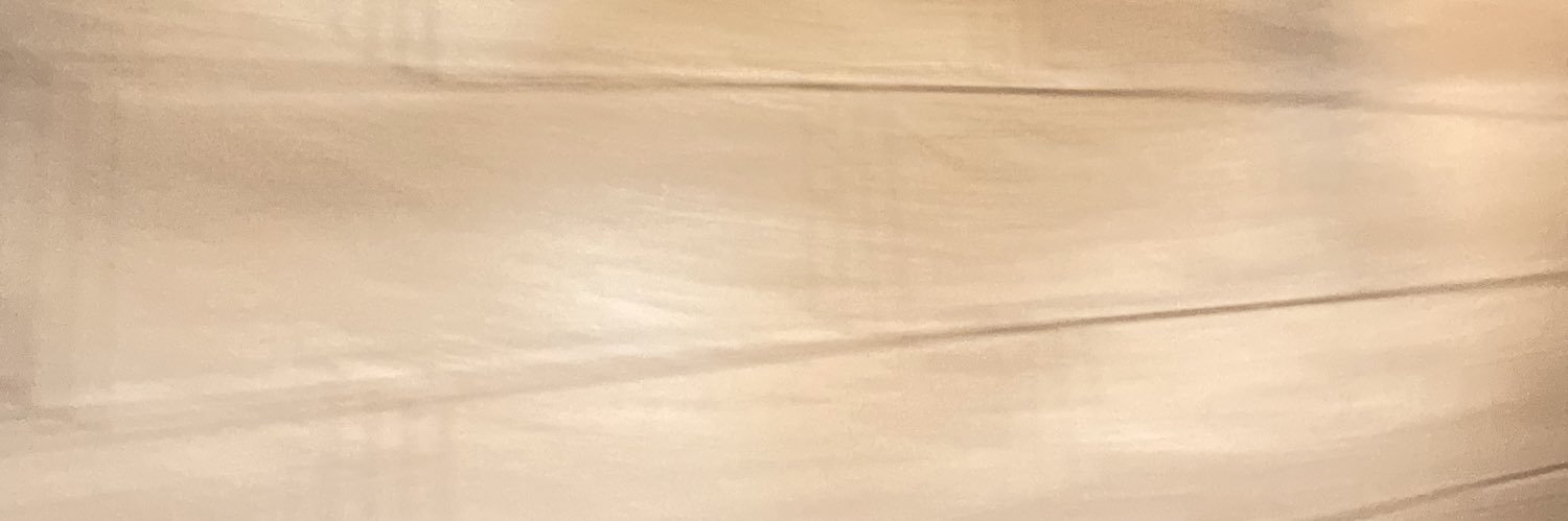 LJ banner
