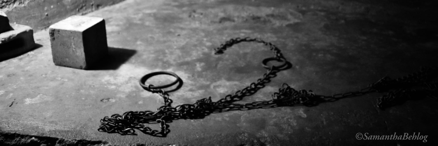 Samantha Behlog banner