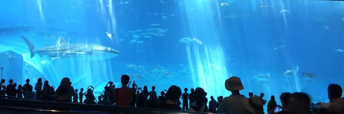 sora_penguin's profile banner image