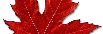 哈哈 banner
