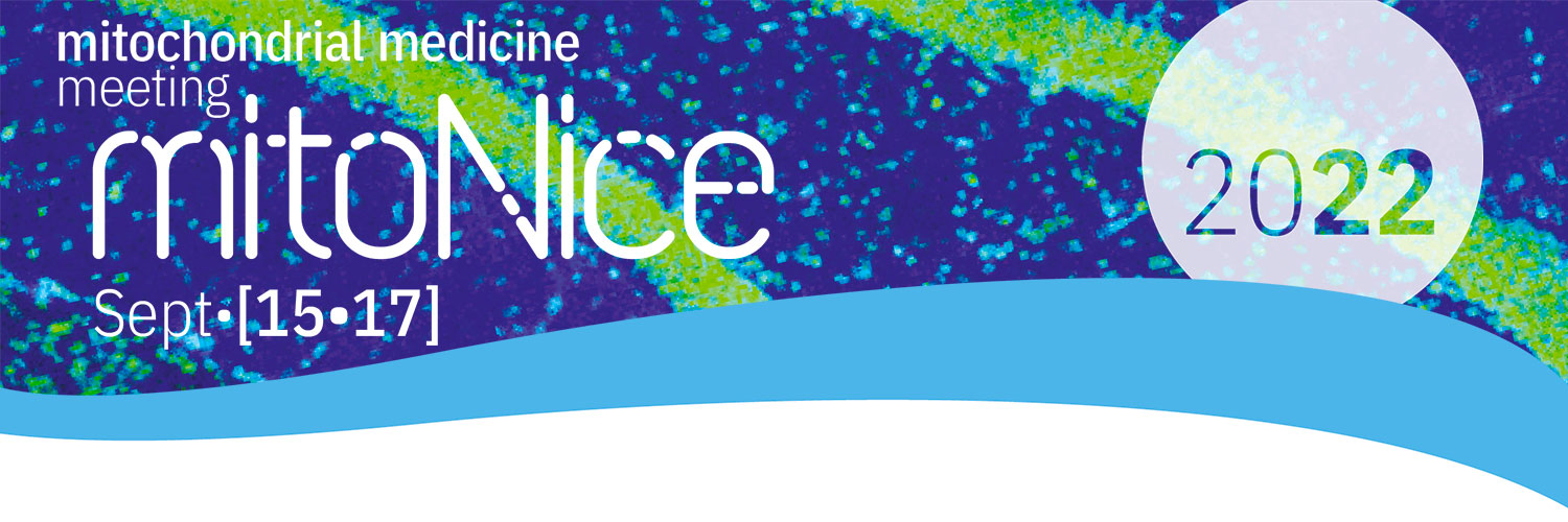 MitoNice2022's profile banner image