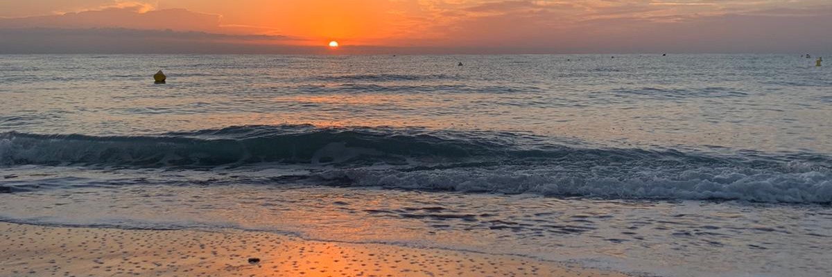 carmenbenitto's profile banner image