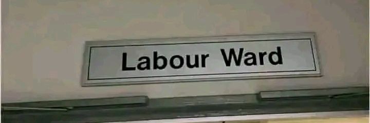 STEPFATHER banner