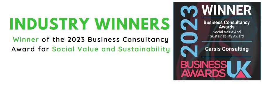 Carsis Consulting banner