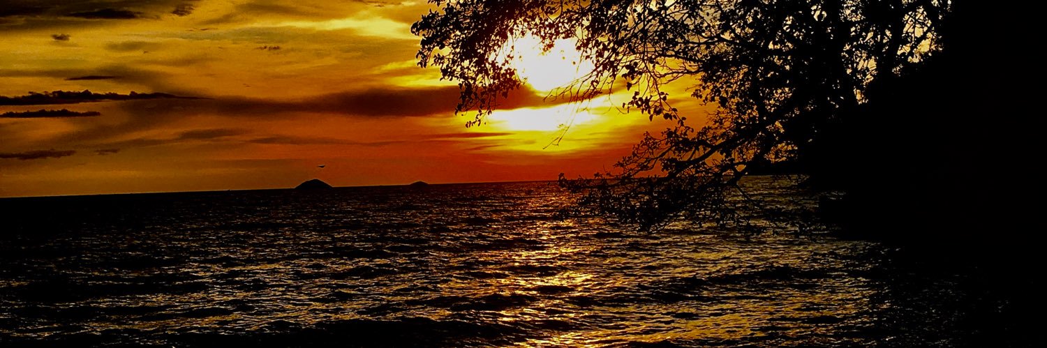 sonofficial254's profile banner image
