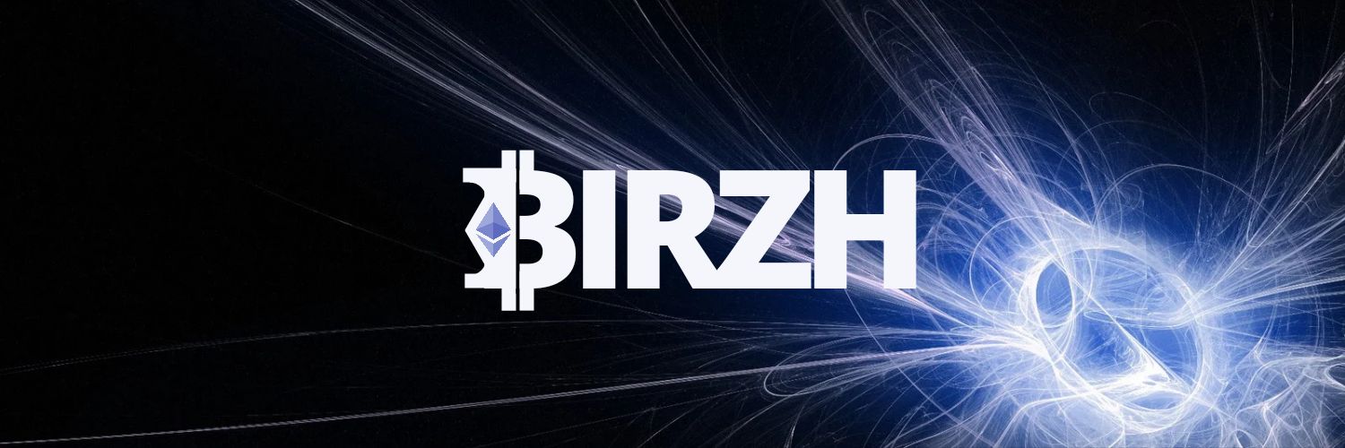 birzh3's profile banner image