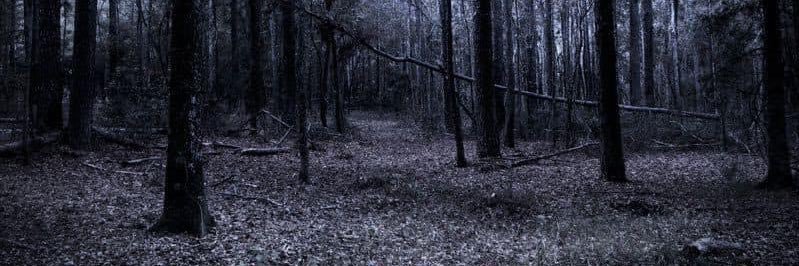 PrrouinTtv's profile banner image