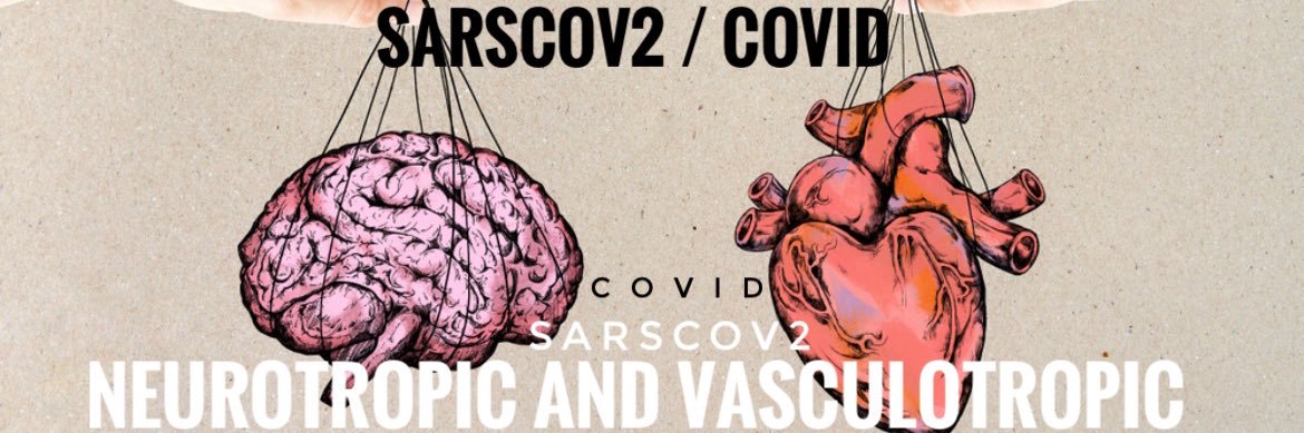 🍁KayElle N 95+ banner