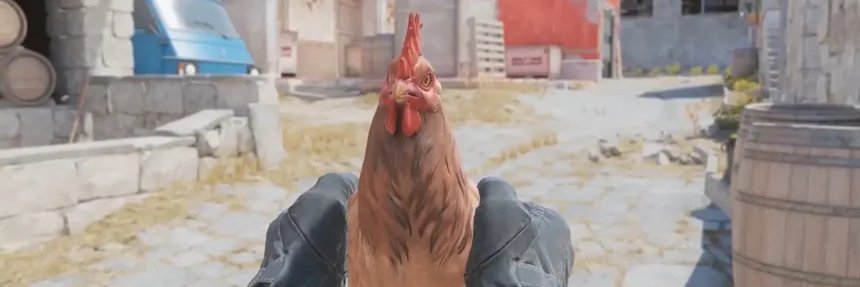 João 'Tired' Vitor banner