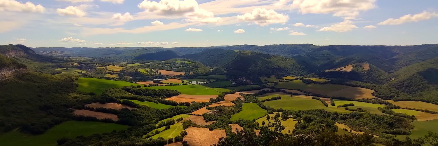 Bruce Demaugé-Bost banner