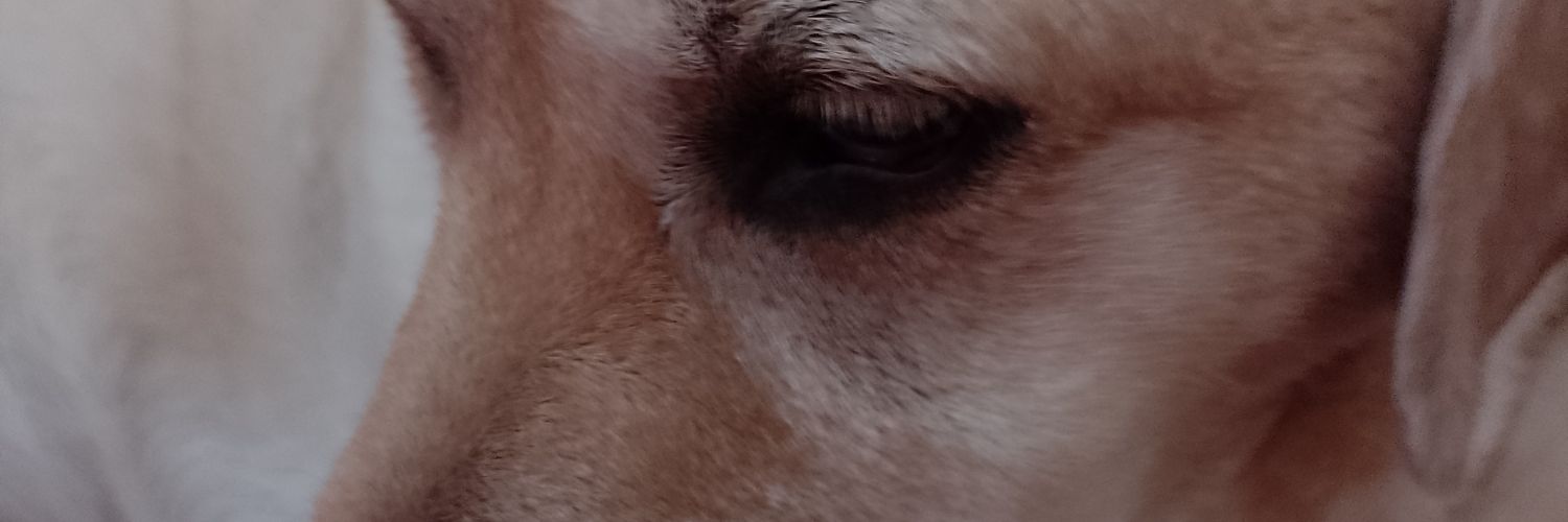 Marga20234's profile banner image