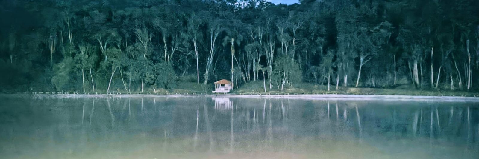 esquecera de mim banner