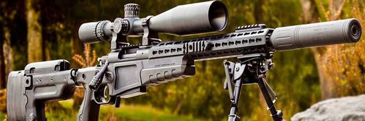 Strange Migrant banner