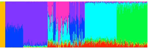 NeuroRare Profile Banner