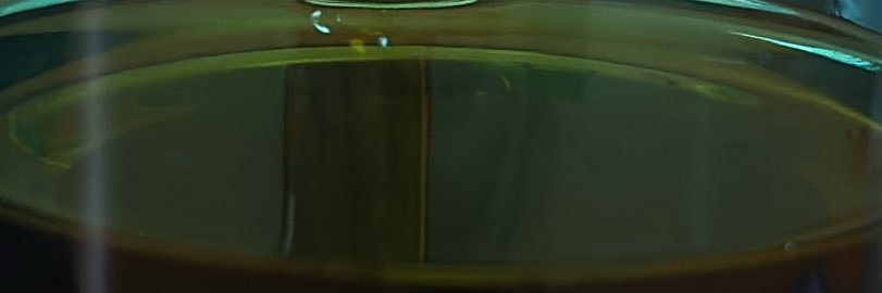 shn_ates's profile banner image