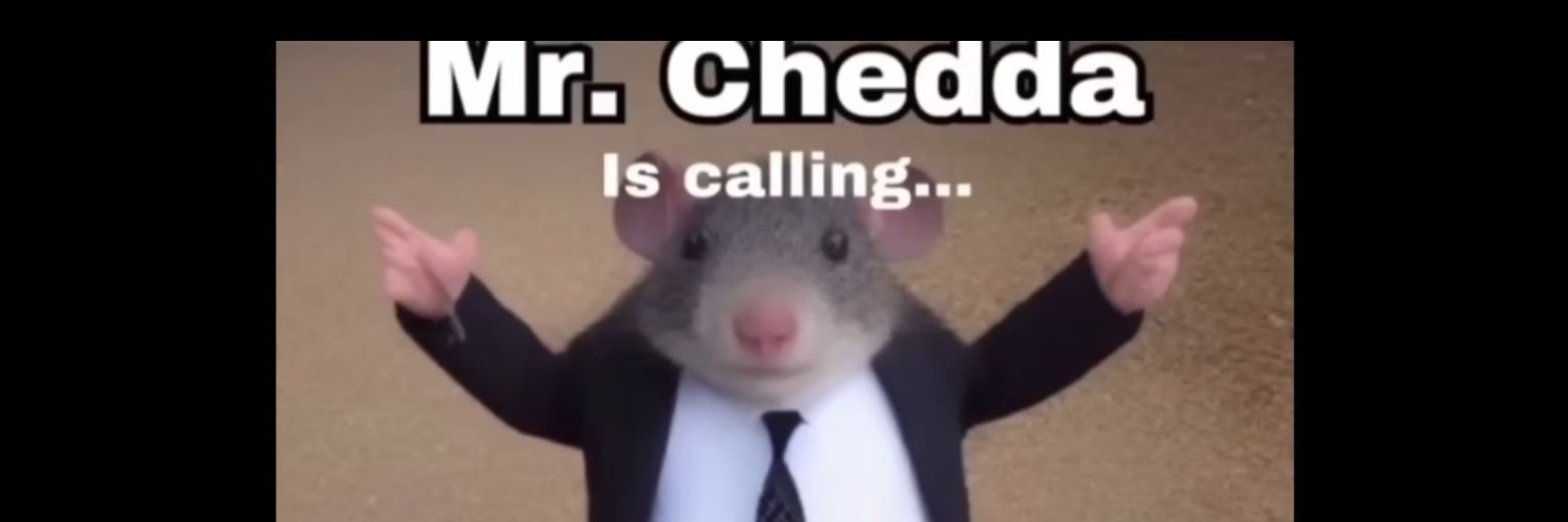 thatkiddsam_'s profile banner image