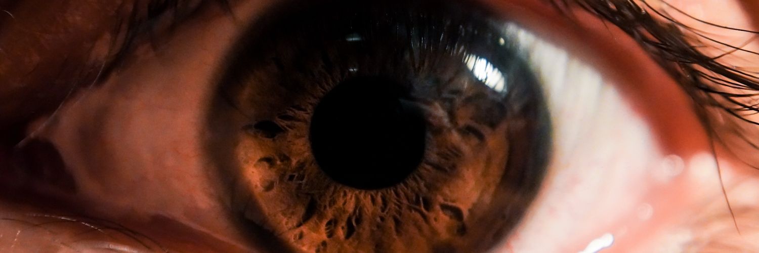 rodrigoNaranja's profile banner image
