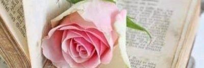 عبدالعزيزالعنزي banner