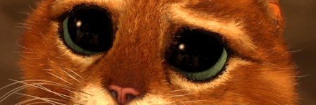 Pesh07966432's profile banner image