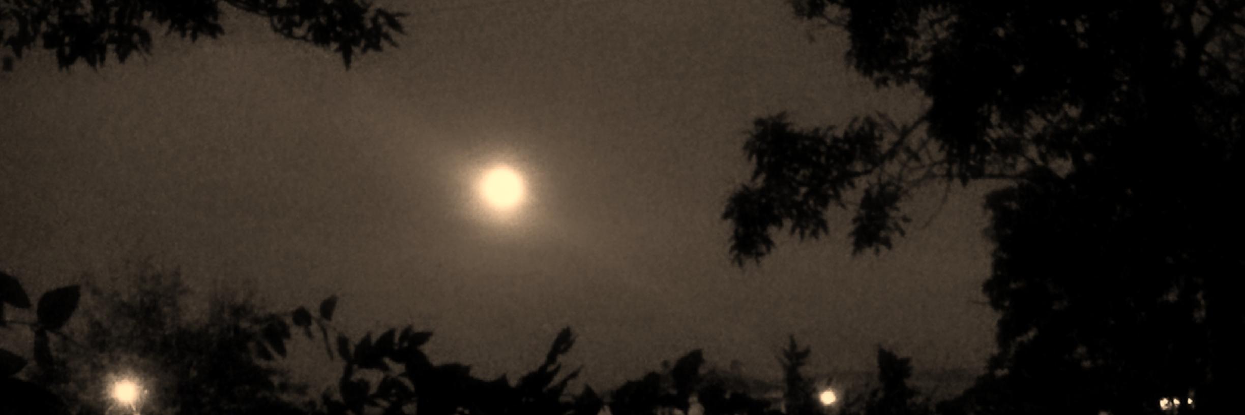 kbrauckl's profile banner image