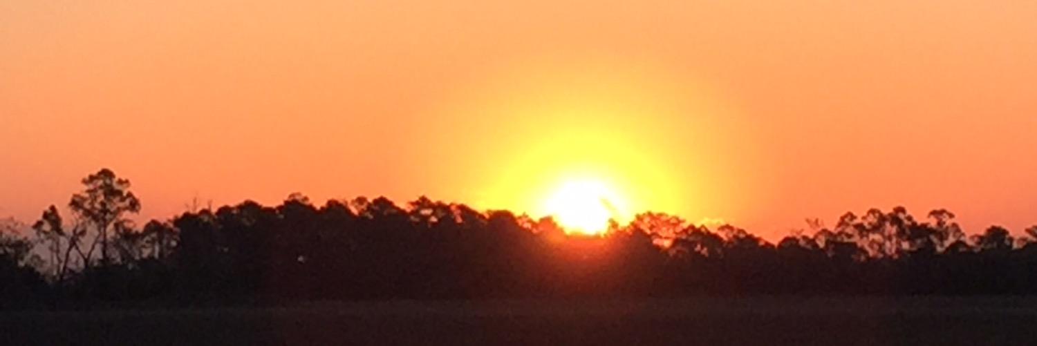 rlevinetx's profile banner image