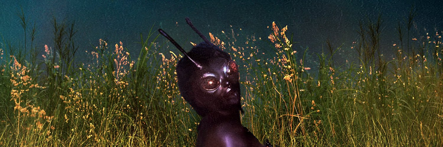 ❦amala banner
