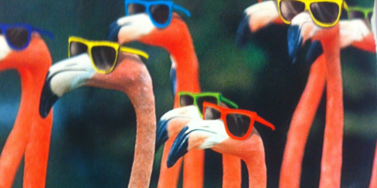 Elena Quiroz-Livanis banner