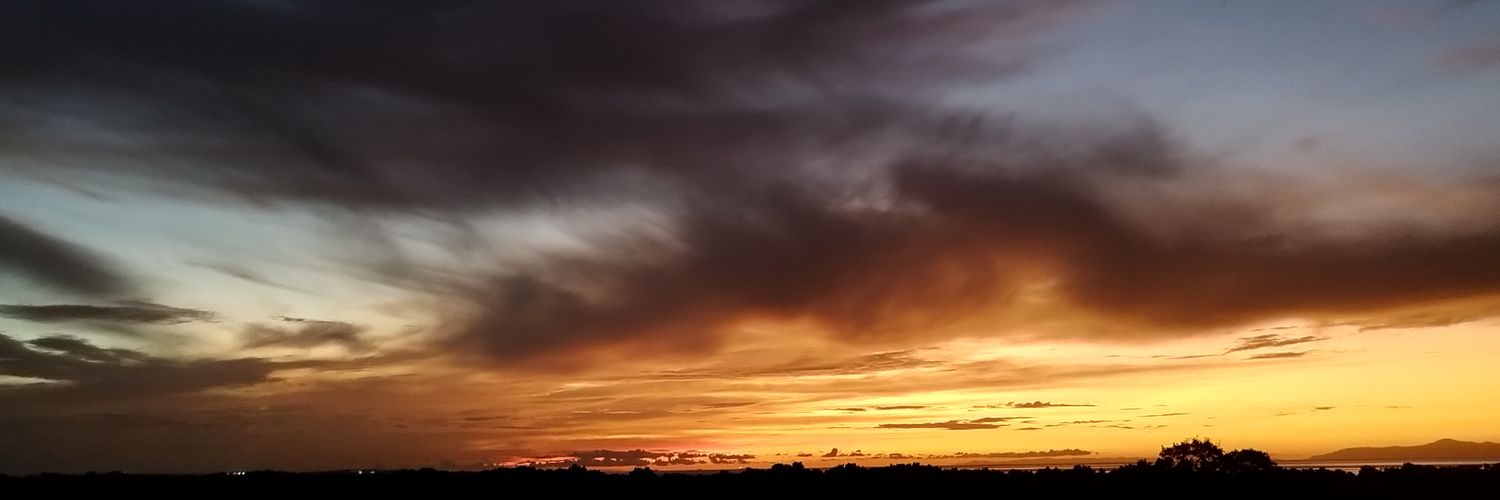 Aria_274's profile banner image