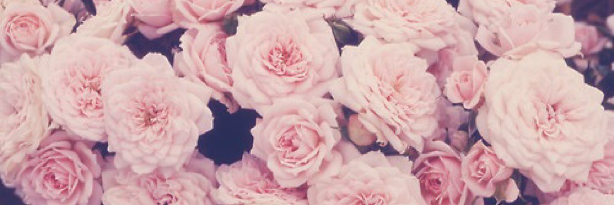 ChristGirl14_'s profile banner image