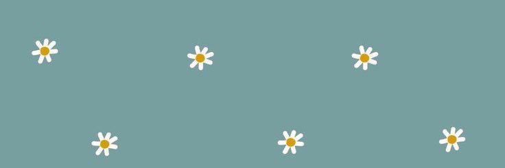 HannahCasaday's profile banner image
