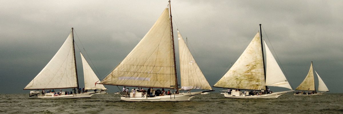 Robert McCready banner