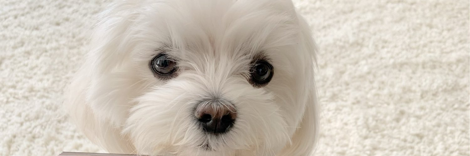 np_yce's profile banner image