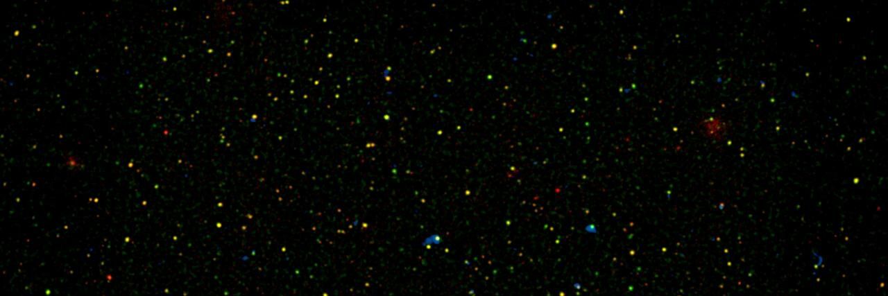 Pablo banner