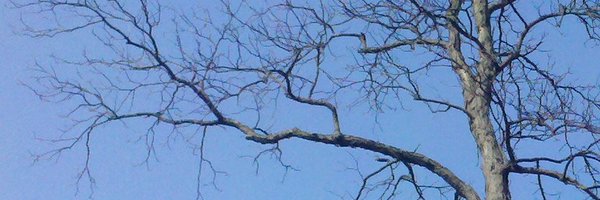 TRKnight Profile Banner