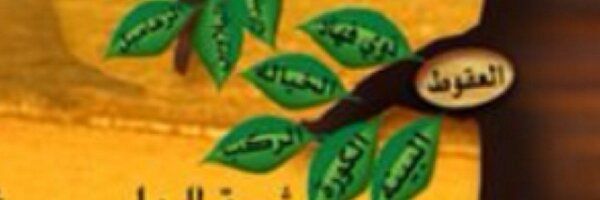 M_DA7ANI_ Profile Banner