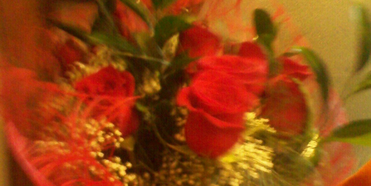 rosa14188's profile banner image