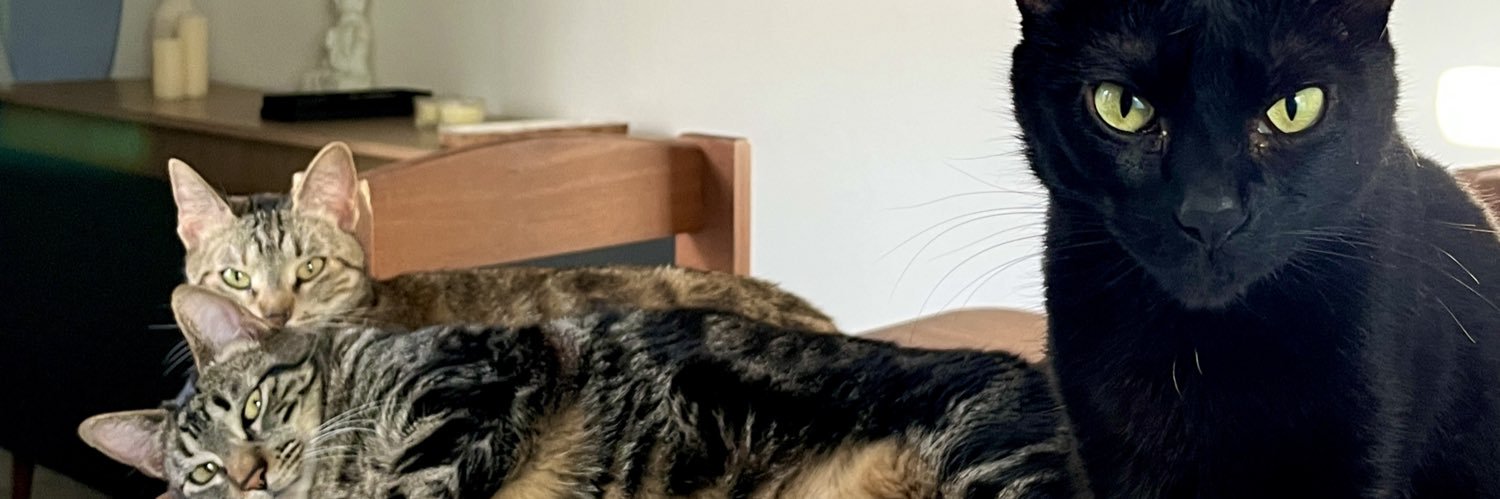 m1l7p's profile banner image