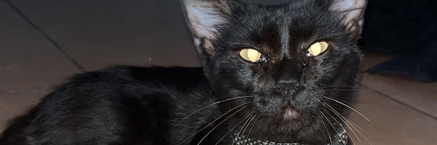 sykore666's profile banner image