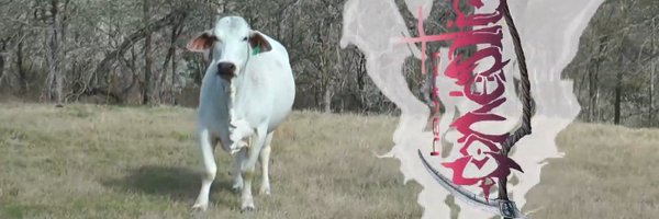 coolslice7 Profile Banner