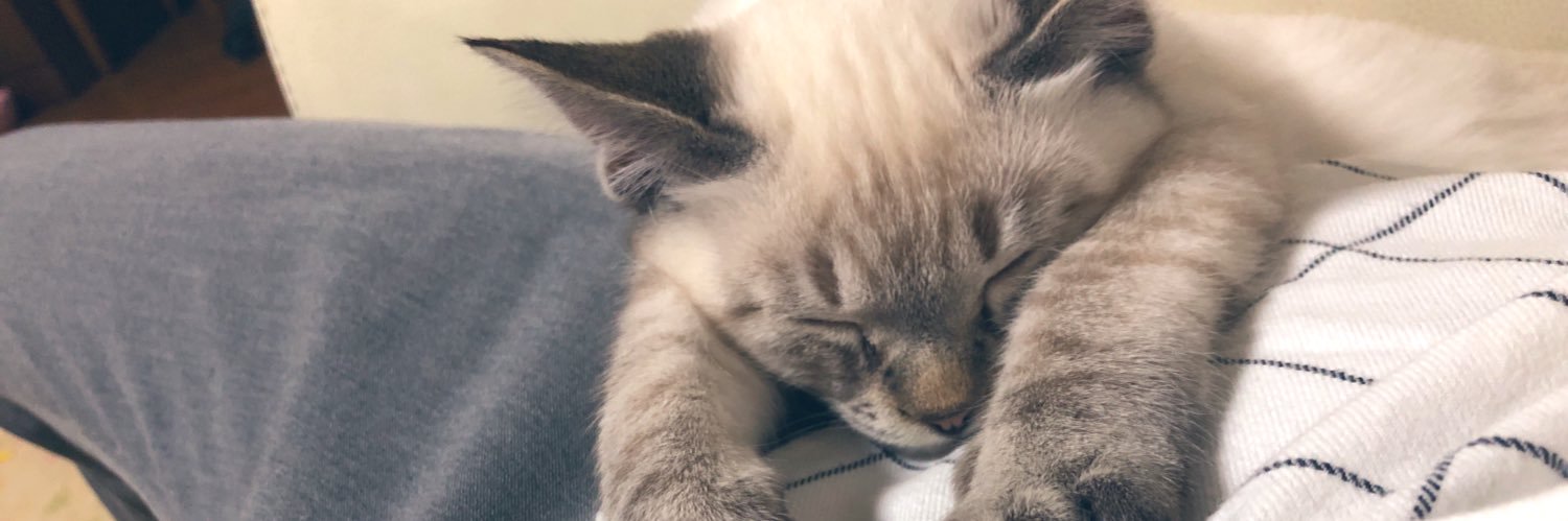 littleboy1229's profile banner image