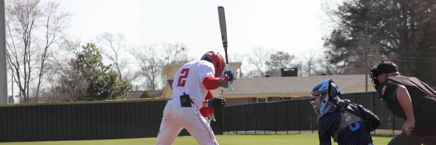 Myles Hammonds banner