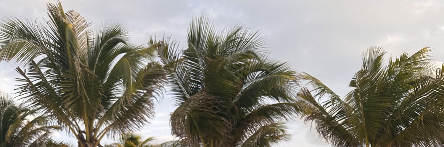 Its_Dayanaa's profile banner image