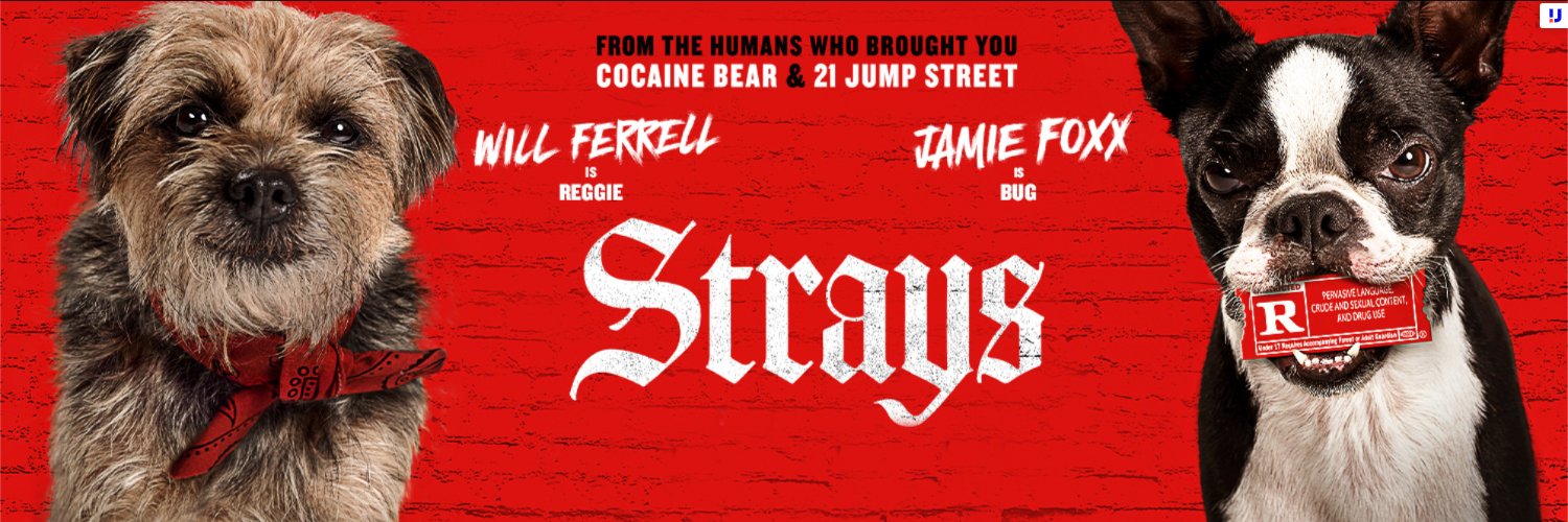 Strays banner