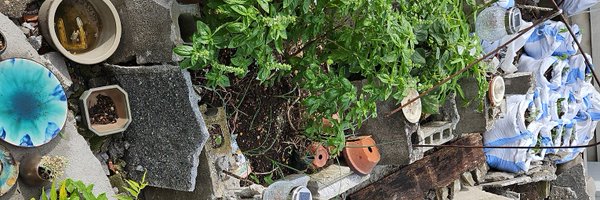 gou_tanabe Profile Banner