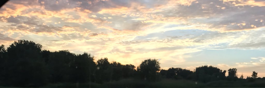 beebewyatt9's profile banner image