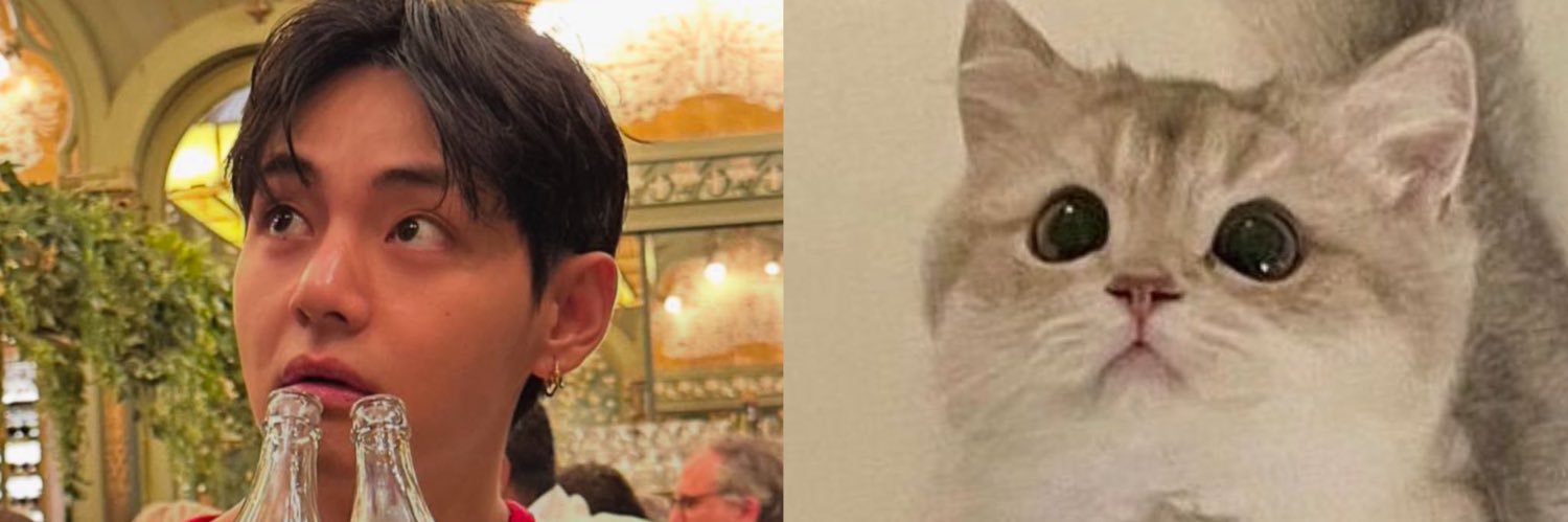 susi_V95's profile banner image